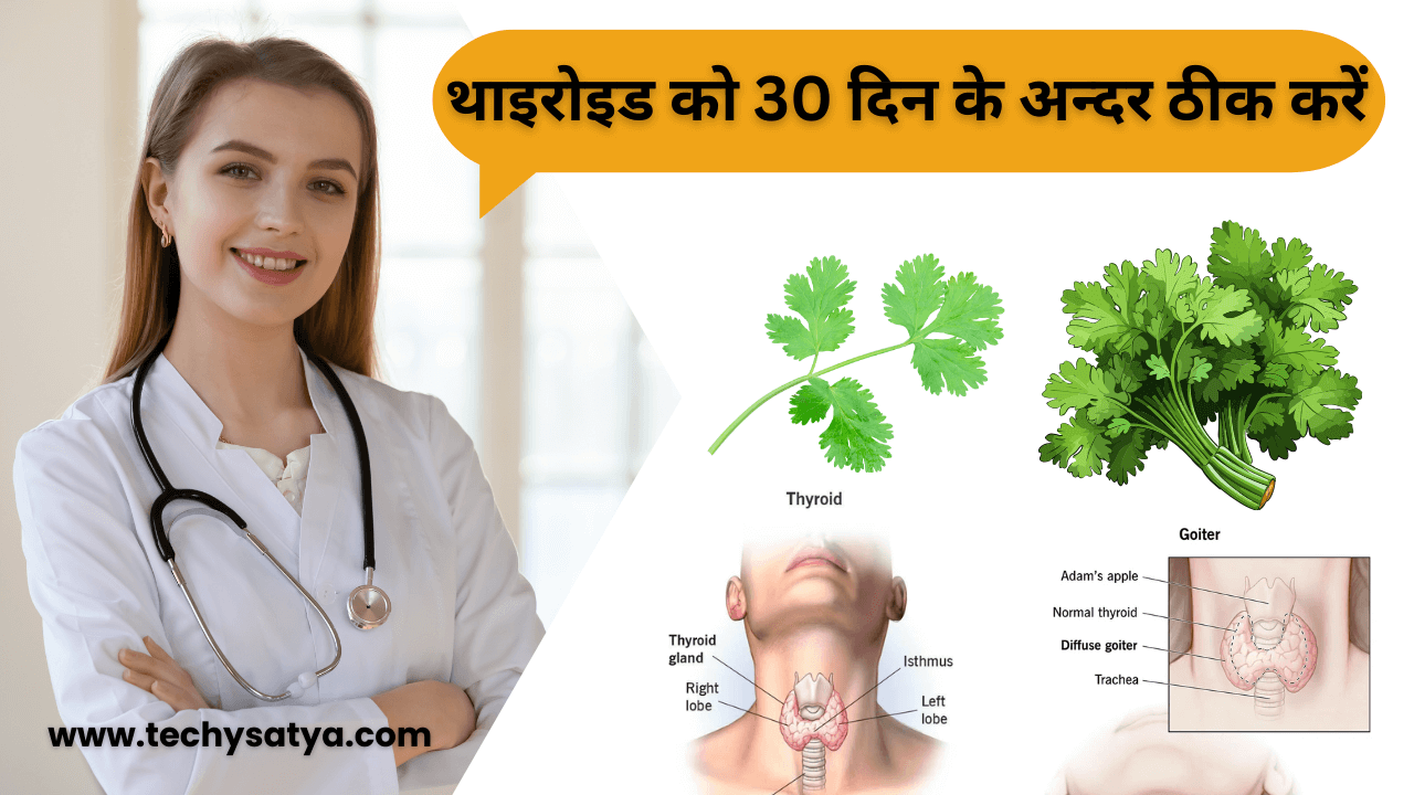 How to cure Thyroid within 30 Days